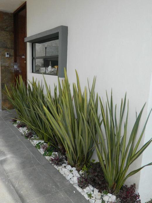 Apartamento Erita Διαμέρισμα Αλικάντε Εξωτερικό φωτογραφία